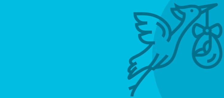 Video invitaciones digitales, categoria baby shower.