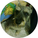 Paulina Martinez profile picture